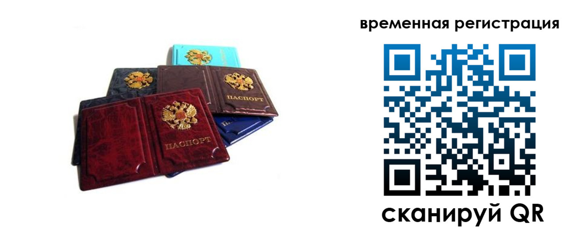 прописка гарантия в Кировске